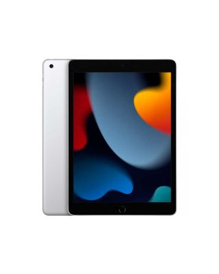 iPad Wifi 25,9 cm (10,2") 256GB Plata